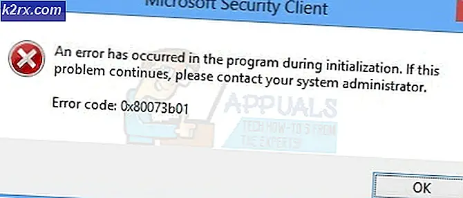 Sådan repareres Windows Defender eller Security Essentials Error 0x80073b01