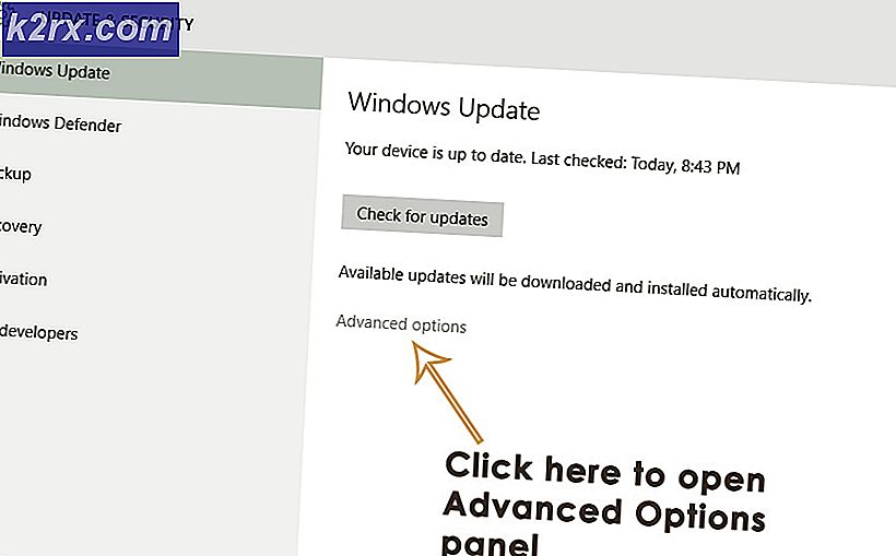 Fix: Windows 10 Langsames Internet