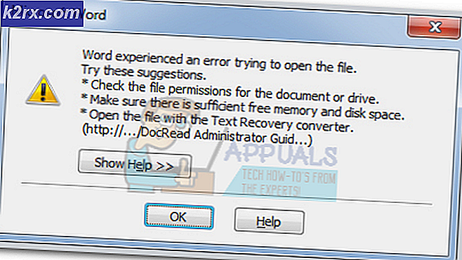 Fiks: Ord opplevd En feil som forsøker å åpne filen